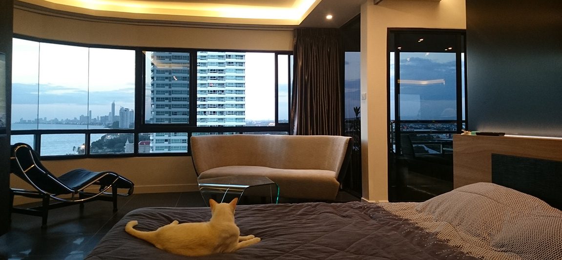 Complete-Interior-Renovation-2